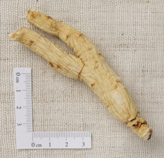Dried Ginseng Root