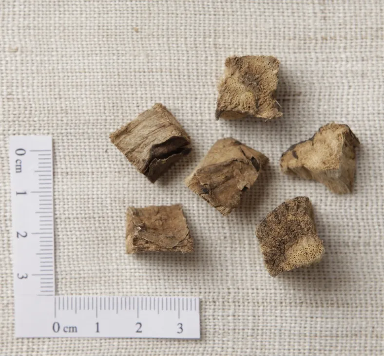 건조된 칡뿌리(갈근) 약재