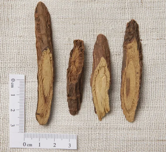 Dried licorice root slices showing the characteristic yellow cross-section