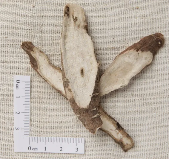 Dried Peony Root
